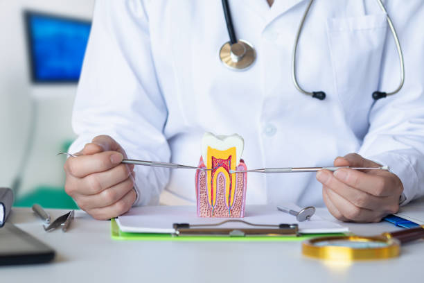 Best Emergency Dental Extractions in Huber Ridge, OH